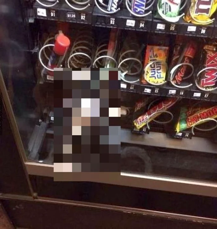 Pisica era captivă în automatul de produse alimentare