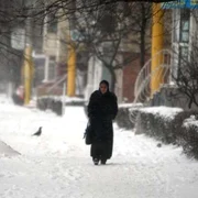 Iarnă grea