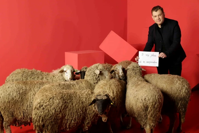 În contextul
aniversării, Kanal D lansează o nouă grafică şi marchează diversitatea ofertei de programe, atribuind
astfel o culoare fiecărei categorii de conţinut TV FOTO Kanal D