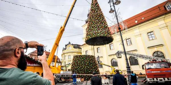 sibiu brad. foto turnul sfatului 