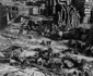Vâlcea Bătălia de pe creste Bătălia trecătorilor în Primul Război Mondial Foto historylapse org
