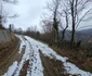 Vulcan, zona Dealu Babii Foto Daniel Guță ADEVĂRUL (3) jpg