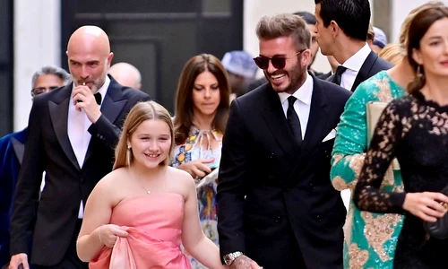 harper beckham profimedia (2) jpg