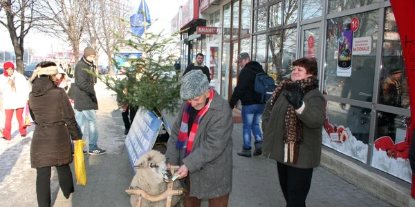 focsani taran 4