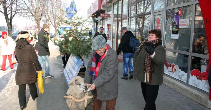 Oaia Frumişica mănâncă bani