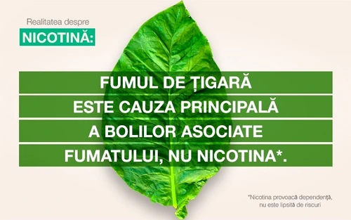 1 nicotina jpg jpeg