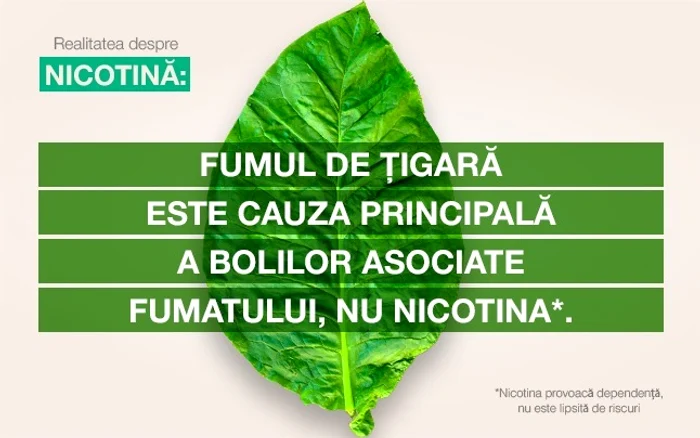 1 nicotina jpg jpeg