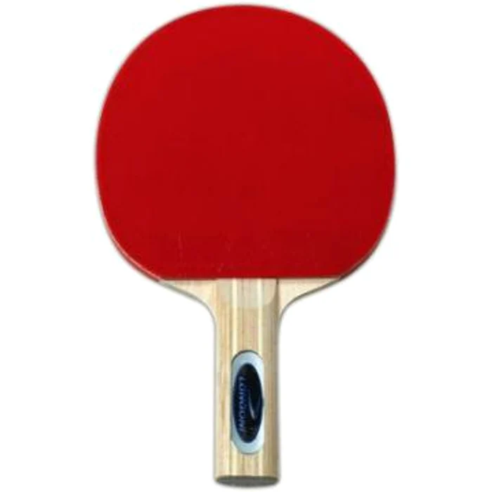 Paleta ping pong