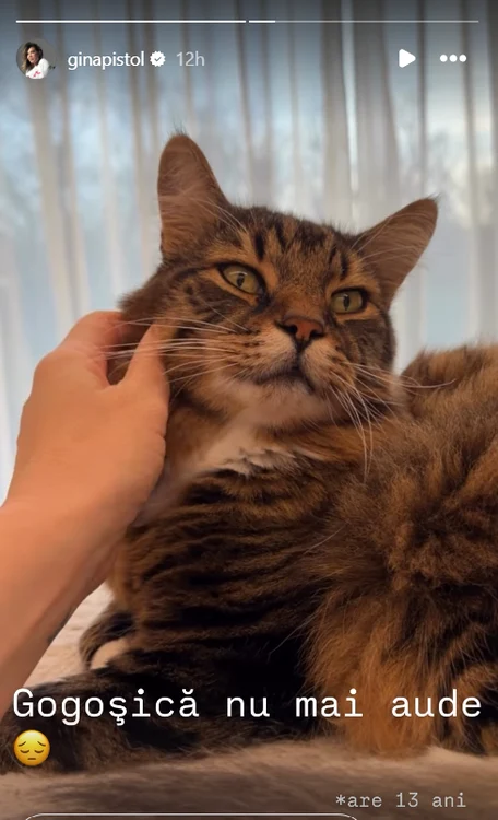 Poza pentru articolul Gina Pistol, moment sensibil pe internet. Ce dezvăluiri a făcut despre fiica ei și motanul Gogoșică