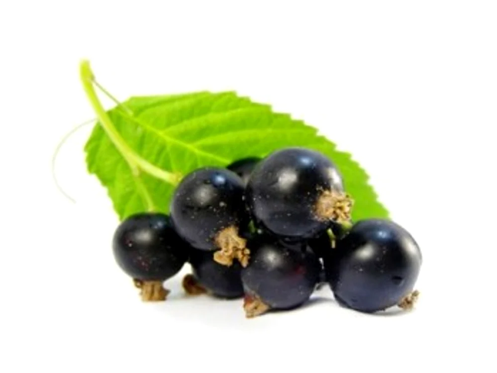
    Coacăzele negre au cel mai mare conţinut de antioxidanţi  