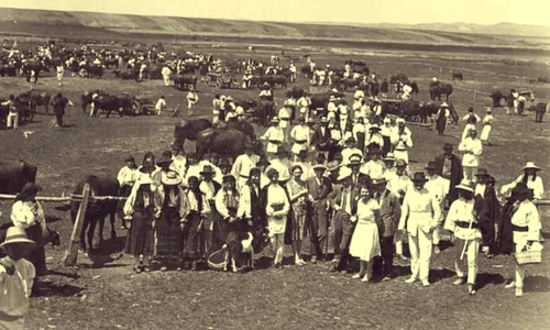 Când cultura unește jpeg