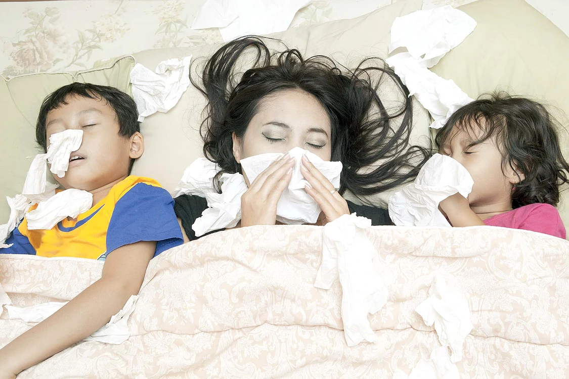 Foto: Shutterstock