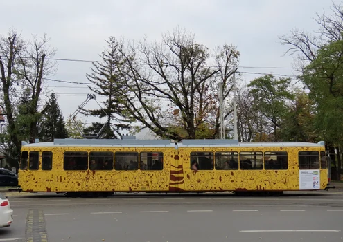 tramvai iasi proprietari animale 11 foto Tramclub Iasi jpg
