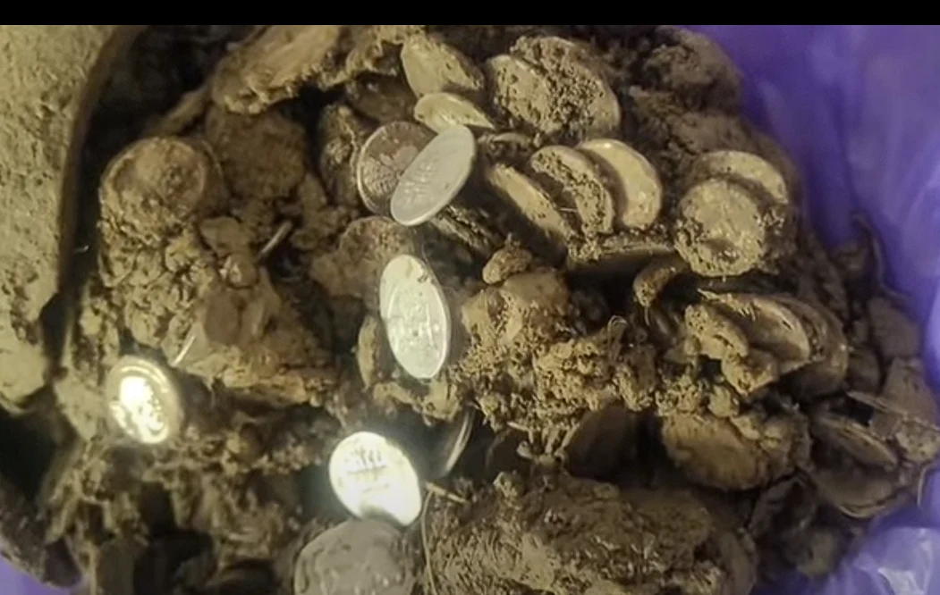 Doi soți din Prahova au găsit o comoară romană, evaluată la 95.000 de euro
