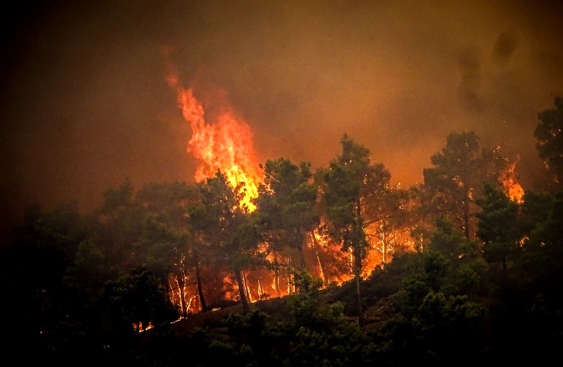 În 2023, incendiile de vegetație au ucis 20 de persoane în Grecia. FOTO arhivă Profimedia