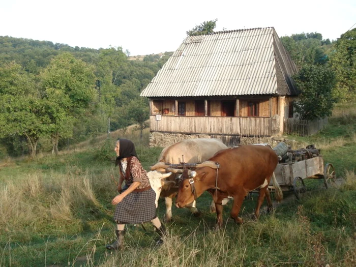 sate turism apuseni