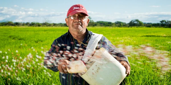 recensământ agricol