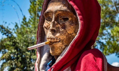 1 shutterstock 1668054898 jpg jpeg