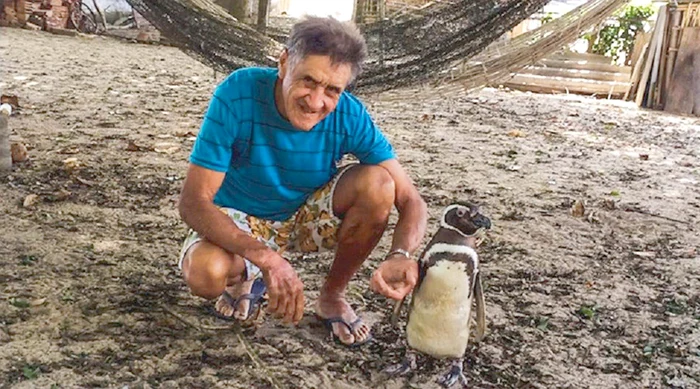 Brazilianul João Pereira de Souza, de 71 de ani, a salvat pasărea de la moarte în urmă cu cinci ani