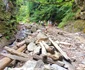Traseul către Cascada Scoruș din Malaia Vâlcea Foto Daciana Stoica