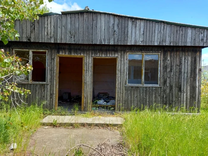 Fosta împărăţie a copiilor,  năpădită de buruieni. Fotografii: MI