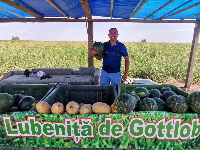 Coco Crețu este cultivator de lubeniță la Gottlob FOTO Ștefan Both