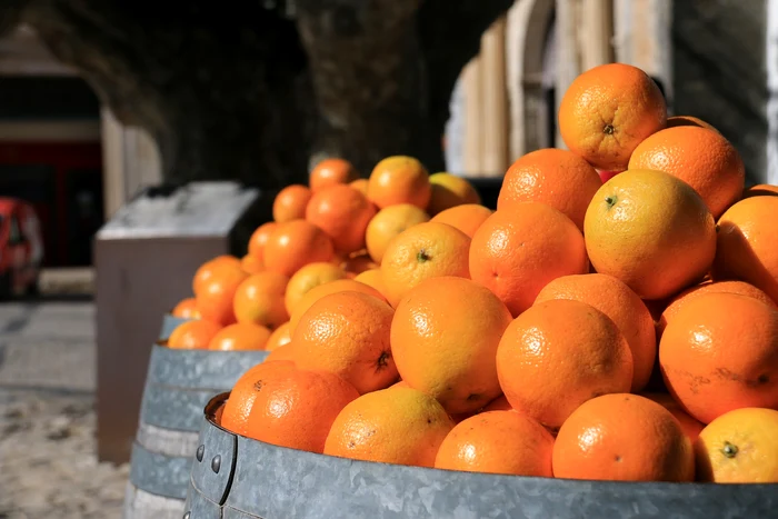 Vinul de citrice este un tonic pentru organism și ține sub control afecțiunile specifice acestui secol foto: Pixabay