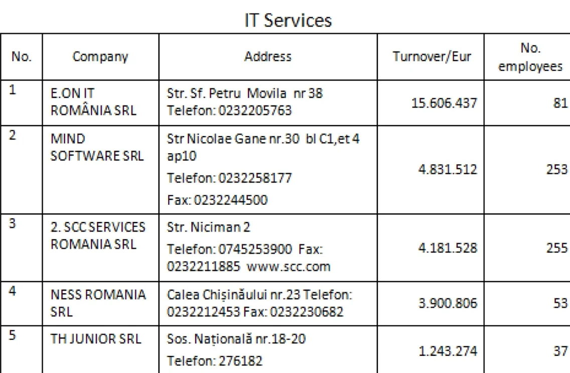IT services IT Iasi