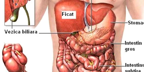 ficat FOTO safiisanatos.ro