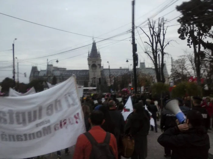 Protest anti-Rosia Montana Iasi