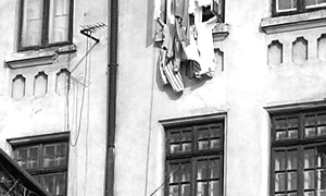 Trei pașapoarte pentru Patria mea jpeg