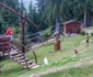 valea blaznei 13