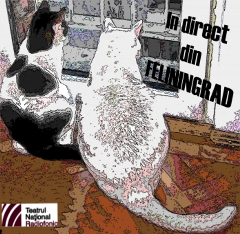 O coadă de motan nespălat jpeg