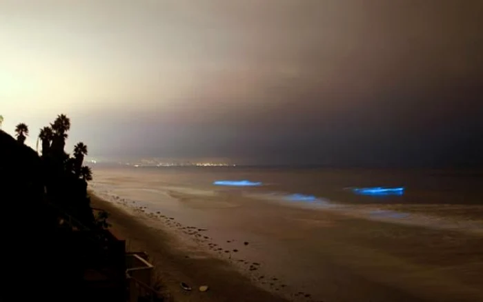 Bioluminiscenţa din Maldive