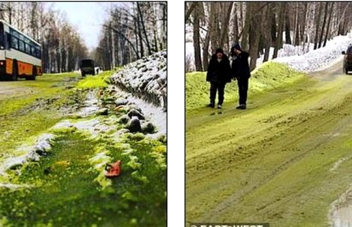 Zapada de culoare verde in Pervouralsk FOTO @East2West via Daily Mail