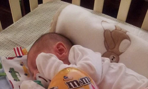 10245532 686711054723721 3334085565646328519 n jpeg