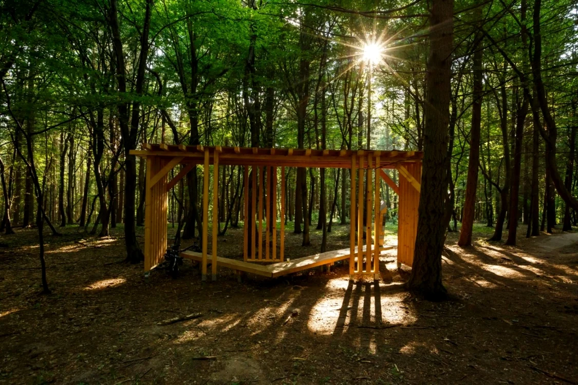 Refugiu într-o Pădure - Parc din Cluj Foto faclia ro
