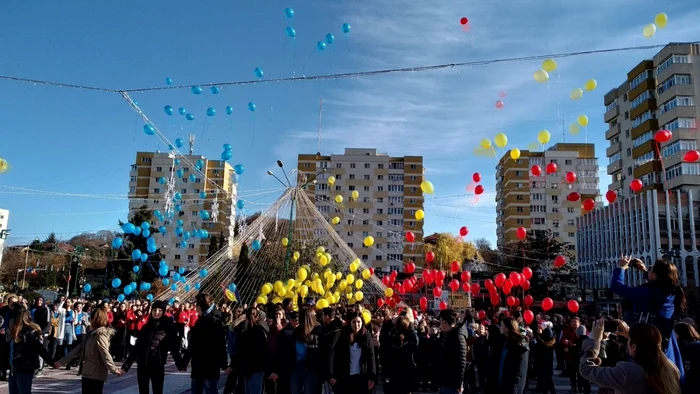 baloane tricolore la zalau