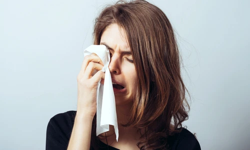 1 shutterstock 280063574 jpg jpeg