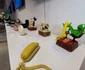 343727738 235221909156811 4805285738028133684 n jpg