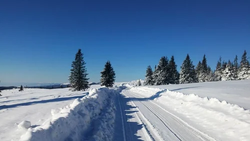 Drumul către staţiunea montană Vârful lui Roman - Horezu pe timp de vară Foto FB Vârful lui Roman - Horezu