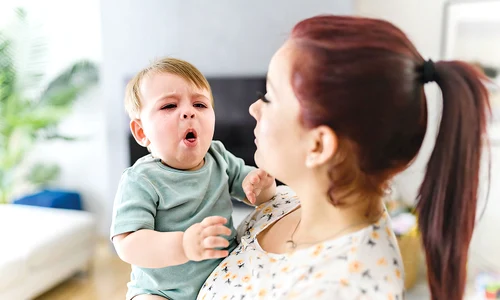 shutterstock 2238691451 jpg