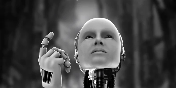 robot fata