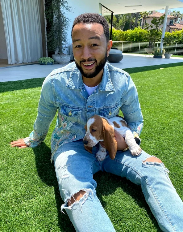 
    Este foarte mic, îl cheamă Buddy și habar nu are din ce rasă este, dar îl ajută pe Orlando Bloom să facă mușchifoto: Instagram  