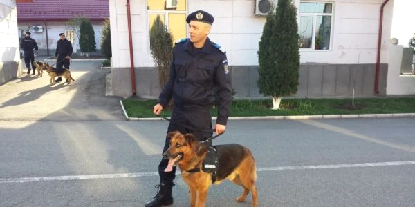 caini de serviciu la jandarmeria mehedinti FOTO Corina Macavei