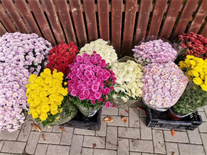 Oamenii pot lăsa banii la poartă, într-o cutiuță