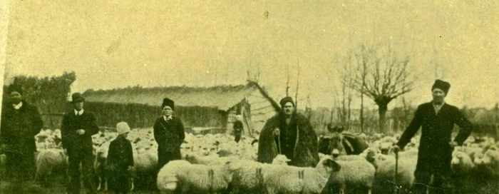 Familie de ţărani dobrohgeni în anul 1944 Arhivă personală Luana Constantin