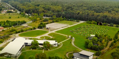 evenimente drive-in Drive Park