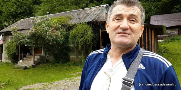 sarmi adi stoicoi