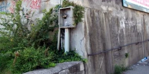Panou electric
